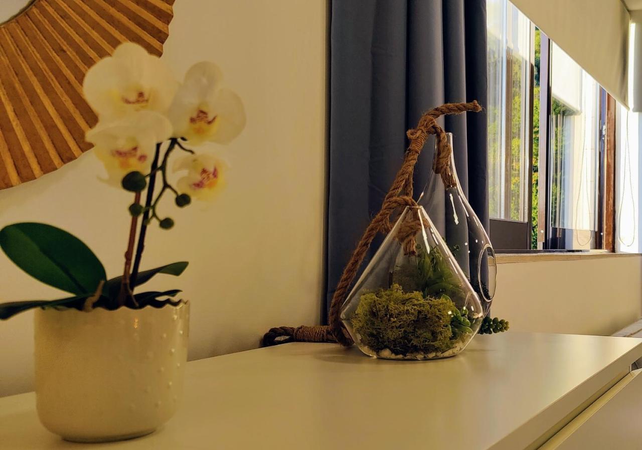 Stylish And Elegant Studio - Best View And Location In Coimbra Downton Exteriér fotografie